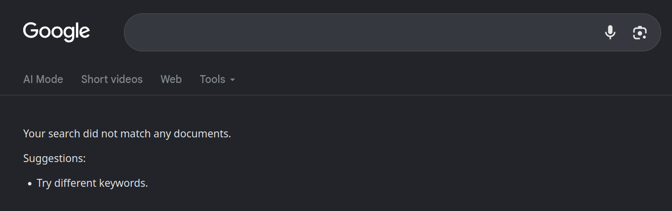 Screenshot of Google Search showing no results